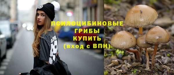 СК Белокуриха
