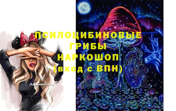 спиды Беломорск