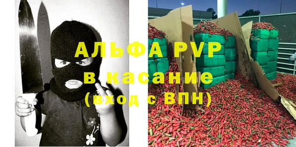 стаф Богородицк