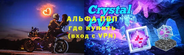 СК Белокуриха