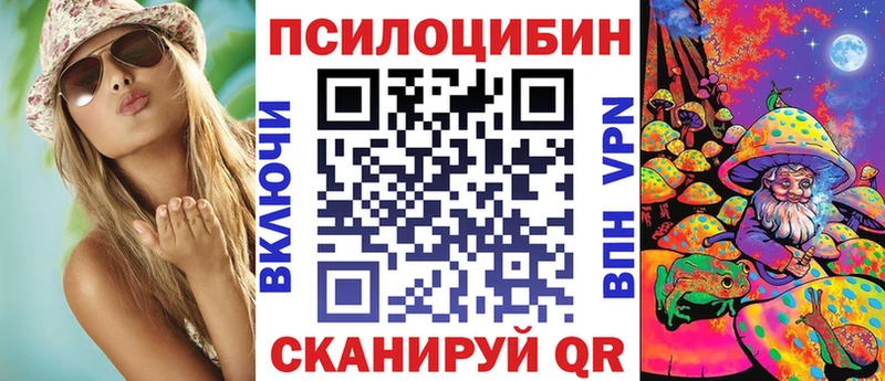 Псилоцибиновые грибы мицелий  shop формула  Большой Камень  купить наркотик 